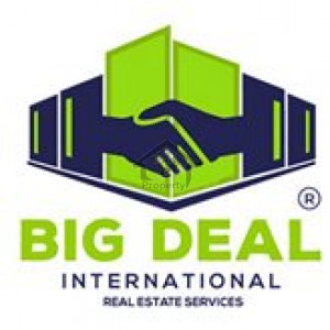 Big Deal International Real Estate Services