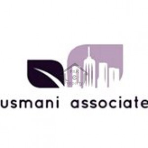 Usmani Associate
