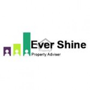 Evershine Property Adviser