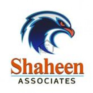 Shaheen Associates