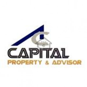 Capital Property & Advisor