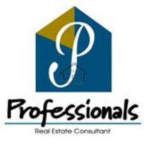 Professionals Real Estate Consultants & Builder