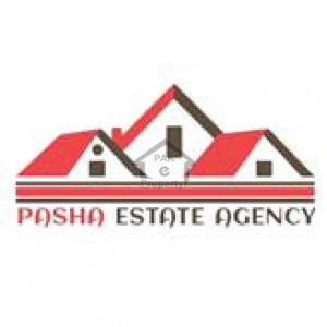 Pasha Estate Agency