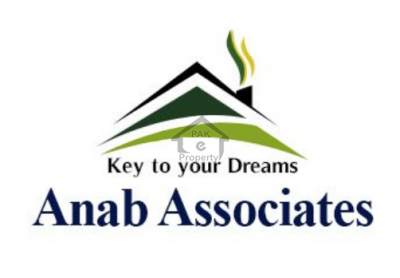 Anab Associates