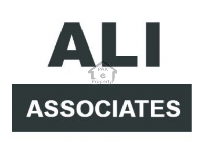 Ali Associates