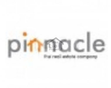 Pinnacle Real Estate