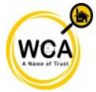 White Collar Associates