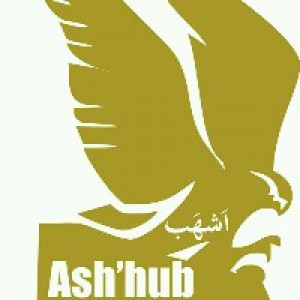 ASHHUB PROPERTY & MARKETING