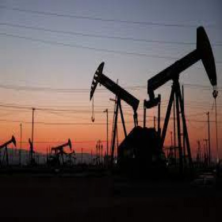 Govt mulling policy to reduce palm oil imports