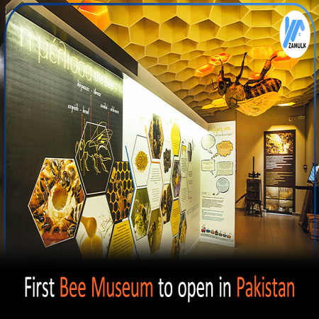 First Bee Museums in Pakistan