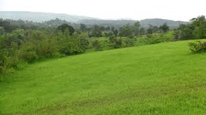 Residential Plot Is Available For Sale
