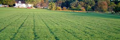 Residential Plot Is Available For Sale On Installment