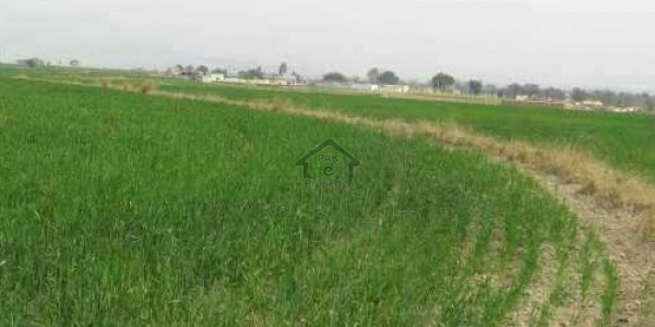 8 Marla Residential Plot For Sale - On 30 Feet Road