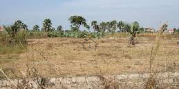 Agricultural Land Is Available For Sale