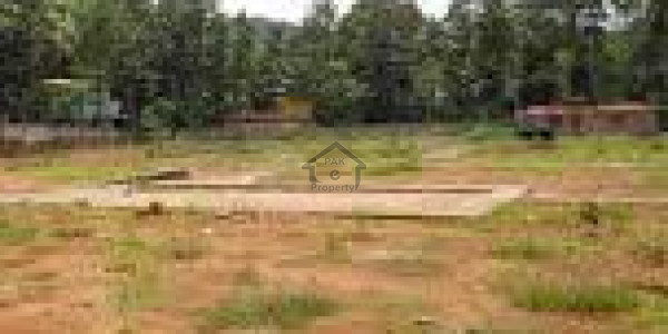Commercial Plot Is Available For Sale