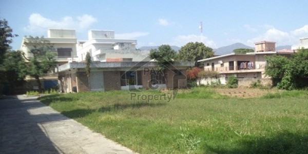 Double Storey House Is Available For Sale