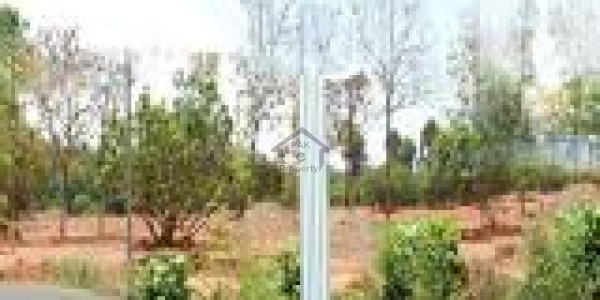 Near Park Hot Deal For Investors