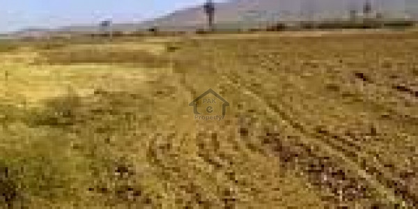 Investors Deal Low Budget Plot