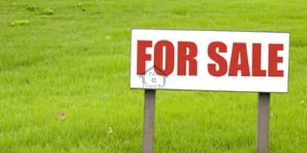 Commercial Plot Is Available For Sale