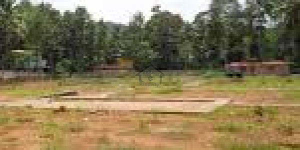 Commercial Plot Is Available For Sale