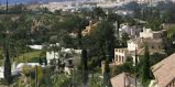 Commercial Plot Is Available For Sale