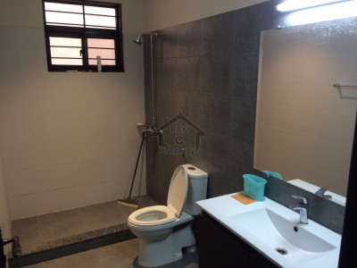 Single Storey House Is Available For Sale