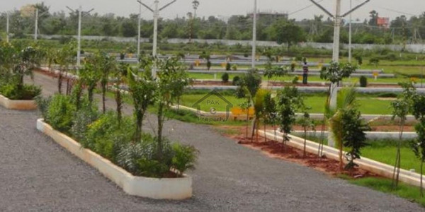 Commercial Plot Is Available For Sale