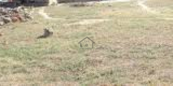 Plot Is Available For Sale