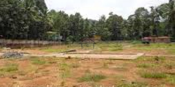 Plot For Sale In Indus Peradise Near To Israh University Hospital