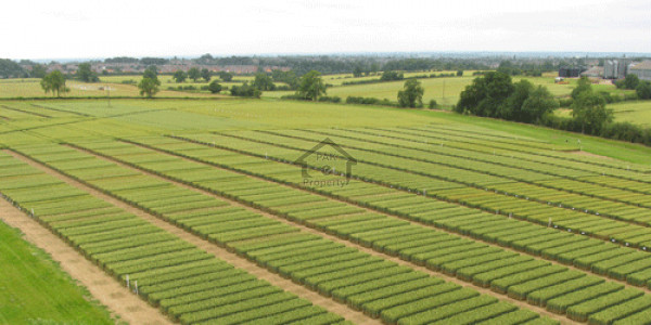 Plot For Sale In Indus Peradise Near To Israh University Hospital