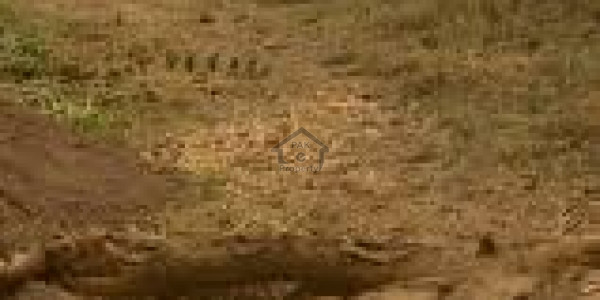 Plot Available In Gulberg Greens For Sale