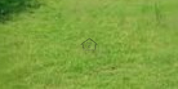 Farm Houses Land For Sale