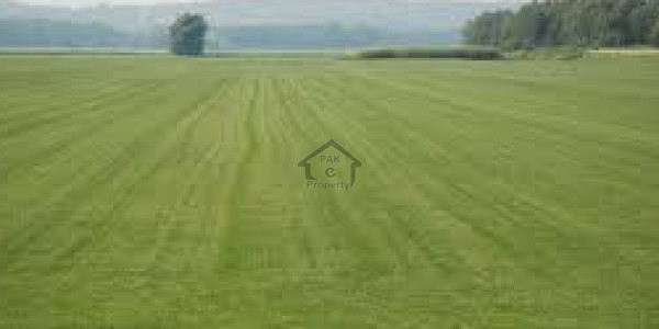 Farm House Land Is Available For Sale