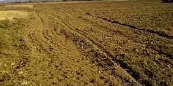 Agricultural Land For Sale