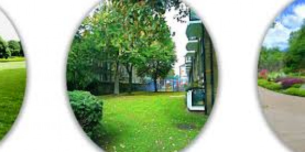 Ideal Plots In E-18 For Sale