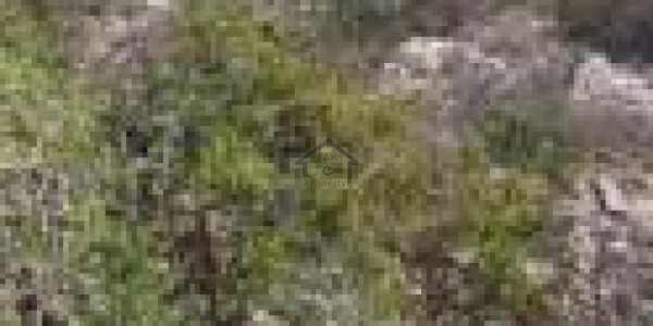 Residential Plot Is Available For Sale