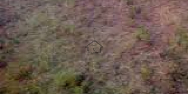 Residential Plot File Is Available For Sale