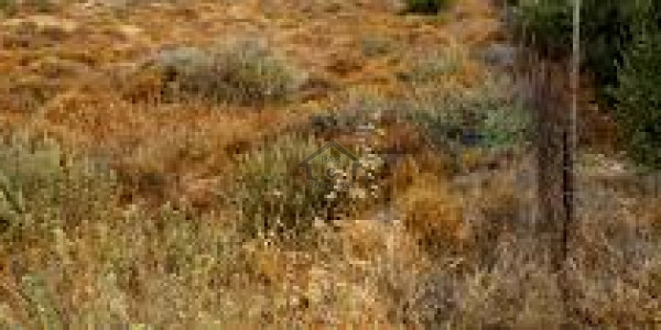 Land Is Available For Sale