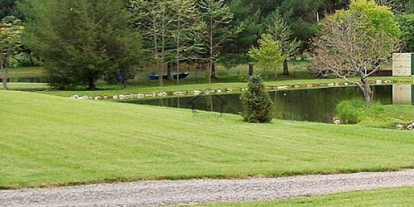 Residential Plot Is Available For Sale