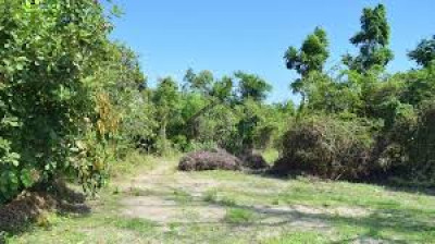 Commercial Plot Is Available For Sale