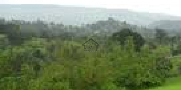 Residential Plot Is Available For Sale