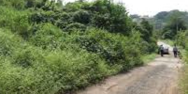 Residential Plot Available For Sale