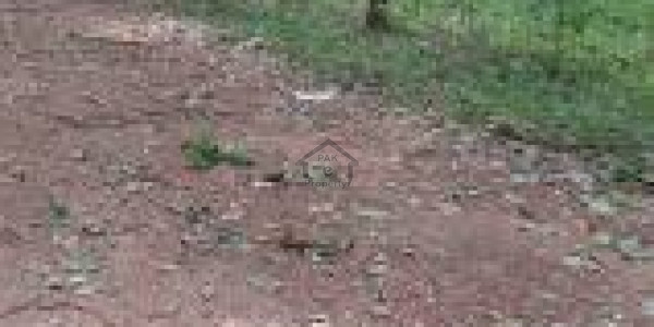 Residential Plot Available For Sale