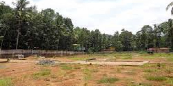 Residential Plot For Sale