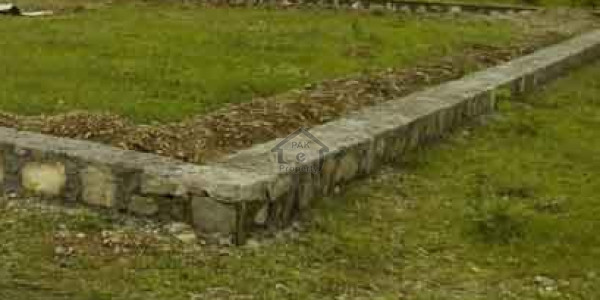 Commercial Plot Is Available For Sale