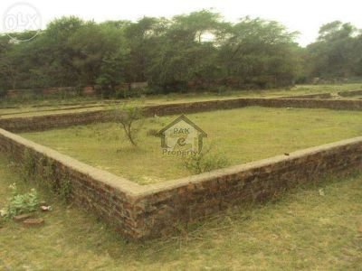 Double Storey House Is Available For Sale