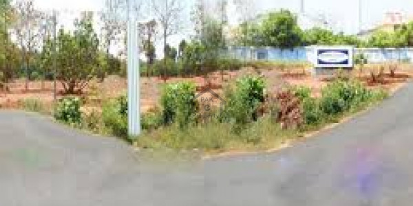 Commercial Plot Is Available For Sale