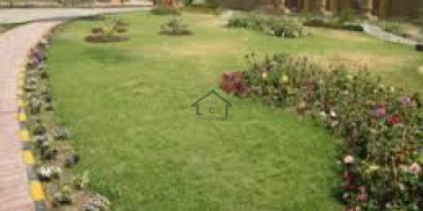 Commercial Plot Is Available For Sale