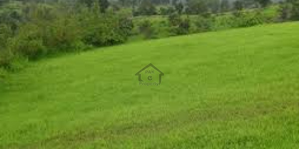 Residential Plot Is Available For Sale