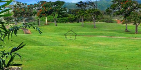 MPCHS Multi Gardens B17 D block 35x70